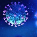 Privremena obustava rada kancelarije NUMS-a zbog pandemije koronavirusa